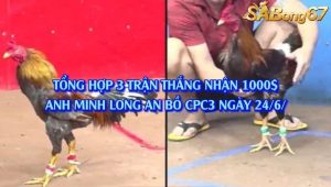 3 trận Thắng Liên Tiếp Nhận 1000$