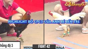 3 Trận Chồng Độ Bồ C3 29/7/2025