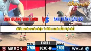 Trận 1 Bồ Gà C3 Ngày 15/7/2025