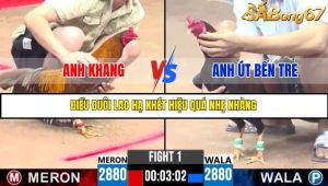 Trận 1 Bồ Gà C3 Ngày 22/7/2025