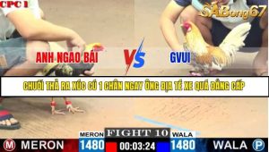 Trận 10 Bồ Gà C1 Ngày 14/7/2025