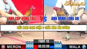 Trận 10 Bồ Gà C3 Ngày 21/7/2025