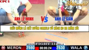 Trận 11 Bồ Gà C1 Ngày 14/7/2025
