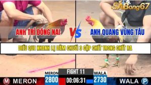 Trận 11 Bồ Gà C3 Ngày 21/7/2025