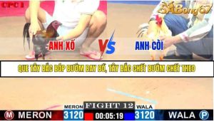 Trận 12 Bồ Gà C1 Ngày 22/7/2025