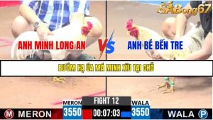 Trận 12 Bồ Gà C3 Ngày 15/7/2025