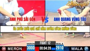 Trận 12 Bồ Gà C3 Ngày 21/7/2025