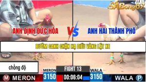 Trận 13 Bồ Gà C3 Ngày 15/7/2025