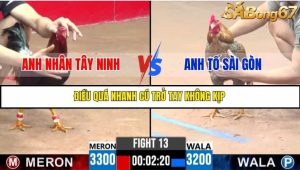 Trận 13 Bồ Gà C3 Ngày 22/7/2025