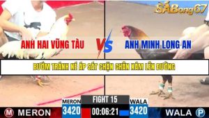 Trận 15 Bồ Gà C3 Ngày 21/7/2025