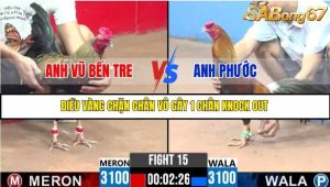 Trận 15 Bồ Gà C3 Ngày 22/7/2025