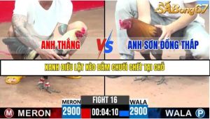 Trận 16 Bồ Gà C3 Ngày 22/7/2025