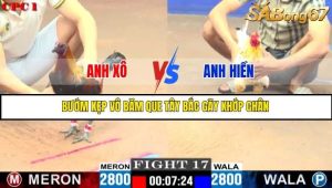 Trận 17 Bồ Gà C1 Ngày 22/7/2025
