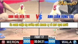 Trận 17 Bồ Gà C3 Ngày 14/7/2025