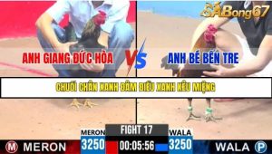 Trận 17 Bồ Gà C3 Ngày 15/7/2025