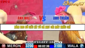 Trận 18 Bồ Gà C1 Ngày 14/7/2025