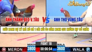 Trận 18 Bồ Gà C3 Ngày 21/7/2025