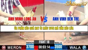 Trận 18 Bồ Gà C3 Ngày 22/7/2025