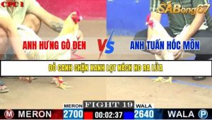 Trận 19 Bồ Gà C1 Ngày 14/7/2025