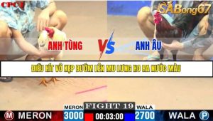 Trận 19 Bồ Gà C1 Ngày 15/7/2025