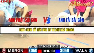 Trận 2 Bồ Gà C1 Ngày 14/7/2025