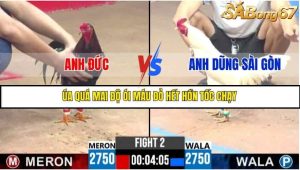 Trận 2 Bồ Gà C3 Ngày 14/7/2025