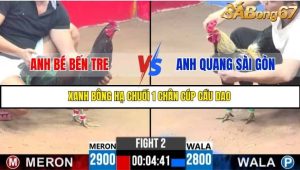 Trận 2 Bồ Gà C3 Ngày 15/7/2025