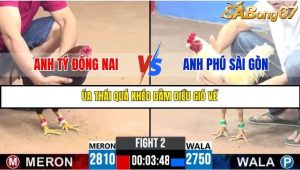 Trận 2 Bồ Gà C3 Ngày 21/7/2025