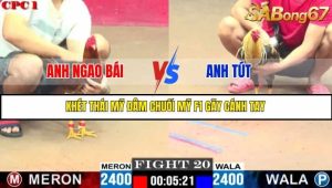Trận 20 Bồ Gà C1 Ngày 14/7/2025