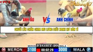 Trận 20 Bồ Gà C1 Ngày 15/7/2025