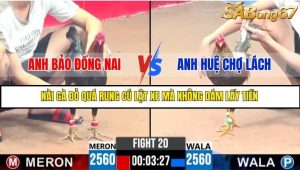 Trận 20 Bồ Gà C3 Ngày 15/7/2025