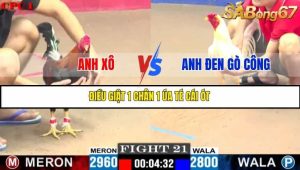 Trận 21 Bồ Gà C1 Ngày 22/7/2025