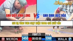 Trận 21 Bồ Gà C3 Ngày 15/7/2025
