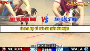 Trận 23 Bồ Gà C2 Ngày 20/7/2025