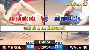 Trận 23 Bồ Gà C3 Ngày 14/7/2025