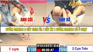 Trận 24 Bồ Gà C1 Ngày 22/7/2025