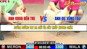 Trận 25 Bồ Gà C1 Ngày 14/7/2025
