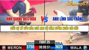 Trận 25 Bồ Gà C3 Ngày 15/7/2025