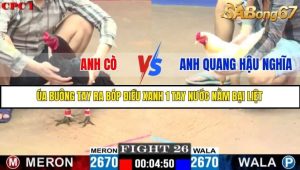 Trận 26 Bồ Gà C1 Ngày 22/7/2025