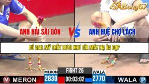 Trận 26 Bồ Gà C3 Ngày 22/7/2025