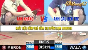 Trận 27 Bồ Gà C3 Ngày 22/7/2025