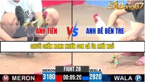 Trận 28 Bồ Gà C3 Ngày 15/7/2025