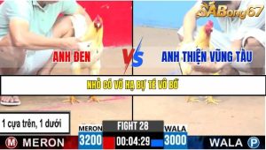 Trận 28 Bồ Gà C3 Ngày 21/7/2025