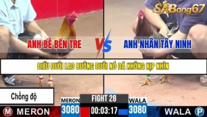 Trận 28 Bồ Gà C3 Ngày 22/7/2025
