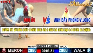Trận 29 Bồ Gà C1 Ngày 22/7/2025