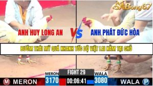 Trận 29 Bồ Gà C3 Ngày 14/7/2025