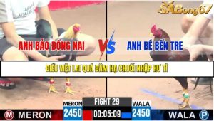 Trận 29 Bồ Gà C3 Ngày 15/7/2025