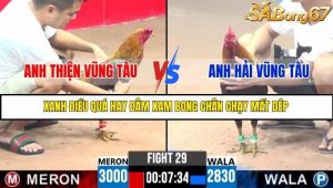 Trận 29 Bồ Gà C3 Ngày 21/7/2025