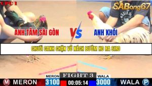 Trận 3 Bồ Gà C1 Ngày 22/7/2025
