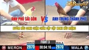 Trận 3 Bồ Gà C3 Ngày 14/7/2025